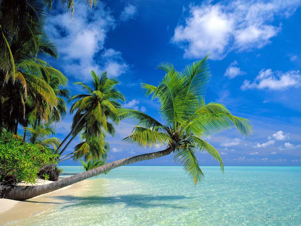 Another Day in Paradise, Maldives